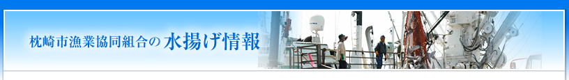 水揚げ情報